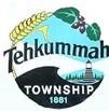 Tehkummah, Township of